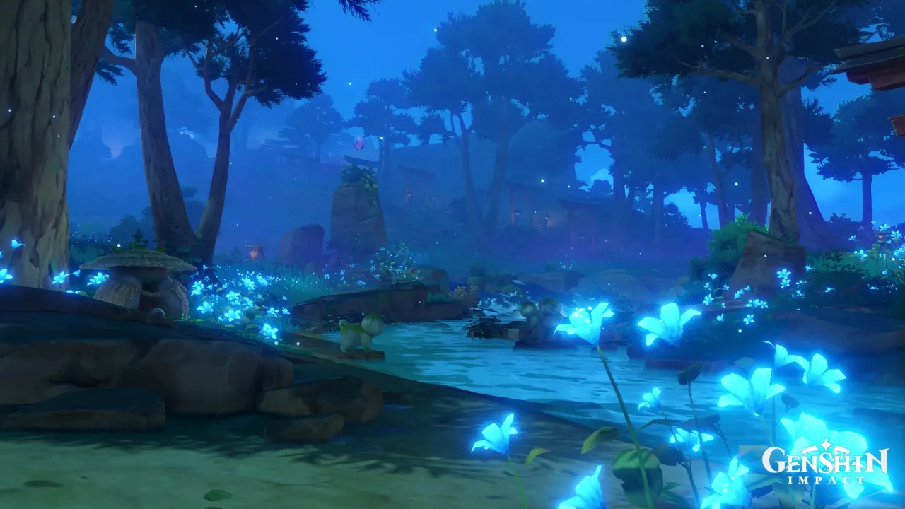 A location in Inazuma at night